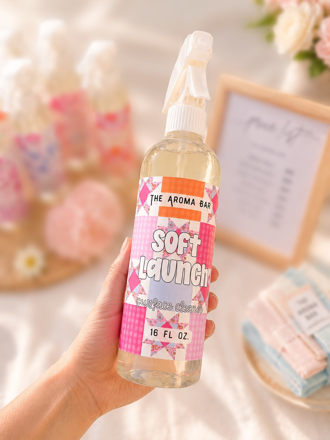 Soft Launch Surface Cleaner